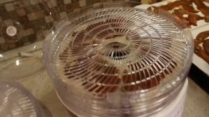 Вялим мясо в сушилке Мастерица СШ 0205К