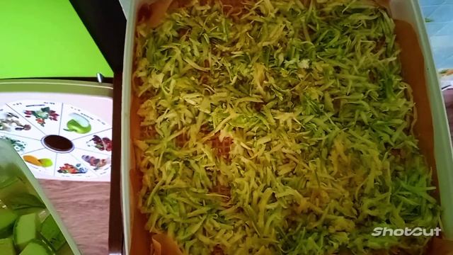 Кабачки  сушить лучше кубиками в сушилке.