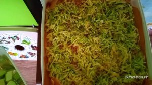 Кабачки  сушить лучше кубиками в сушилке.
