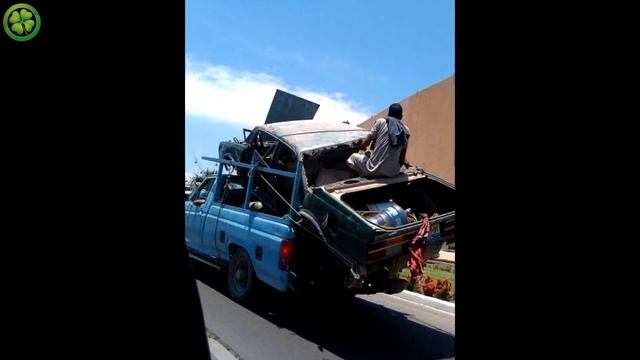 Вот почему женщин больше, чем мужчин ☘ философский выпуск № 1