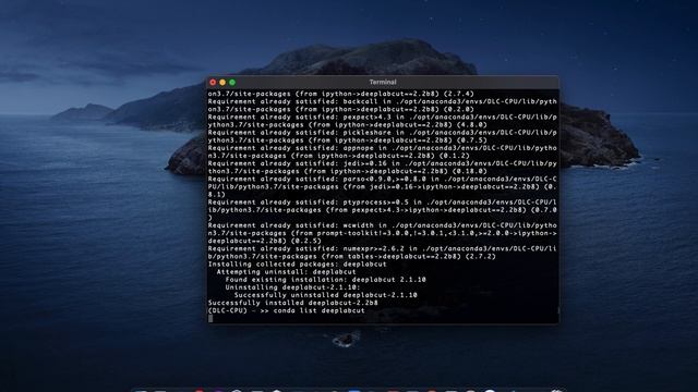 Installing DeepLabCut Part 2 (macOS) смотреть онлайн