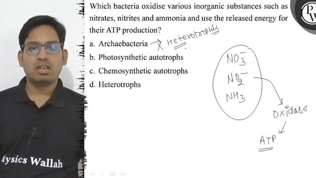 Which Bacteria Oxidise Various Inorganic Substances Such As Nitrate...