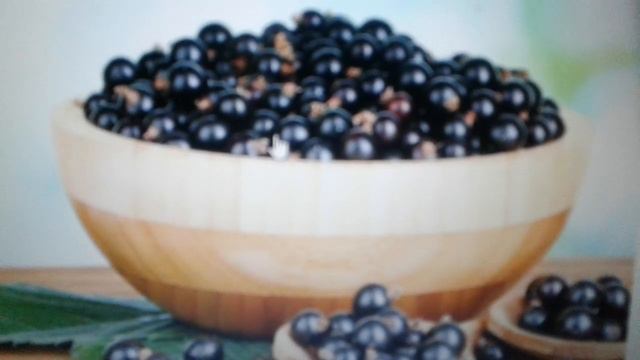 Масло семян смородины:свойства и применение. смотреть онлайн