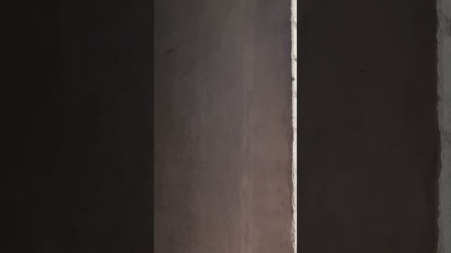 Механизированная стяжка полов и штукатурка стен «ML Group»