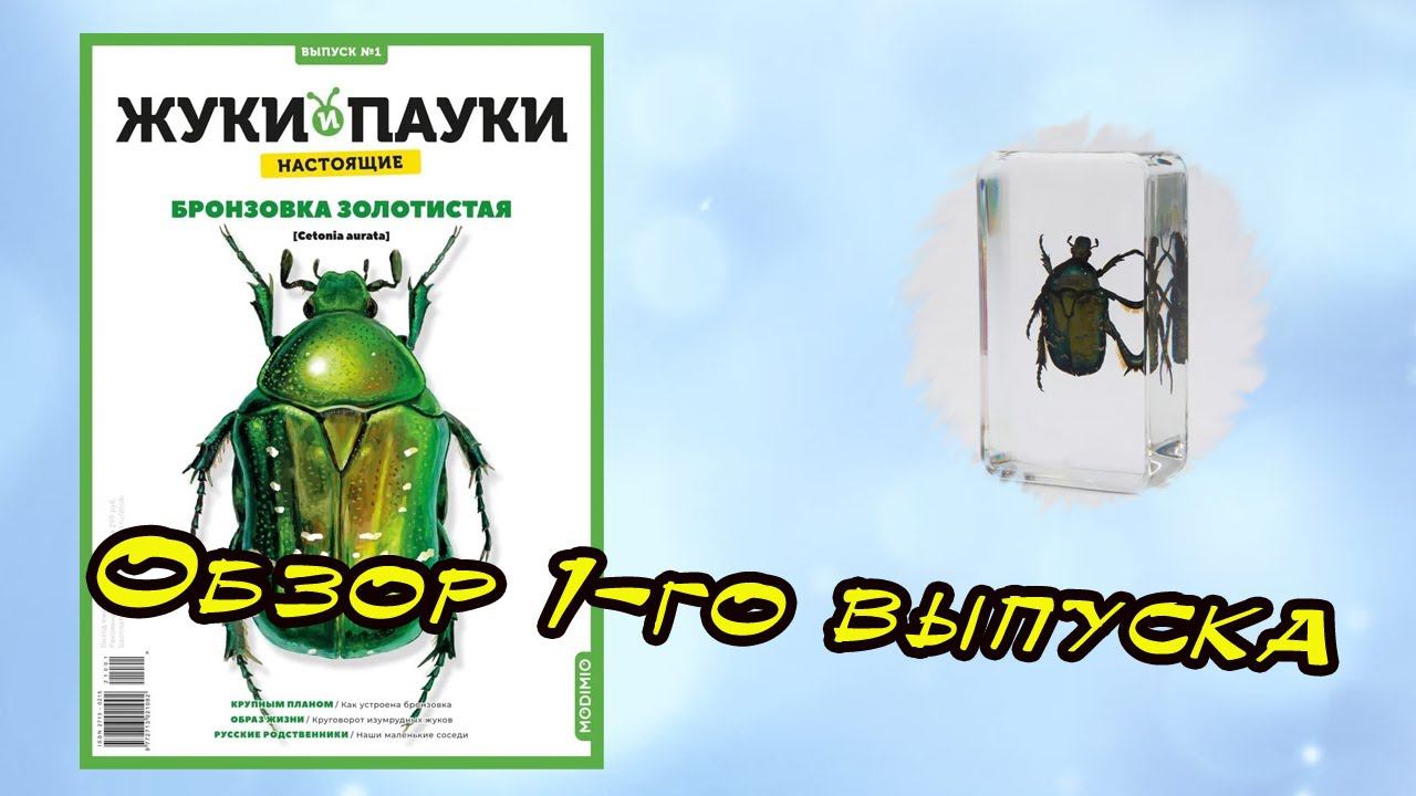 Жуки и пауки | 1 выпуск | MODIMIO смотреть онлайн