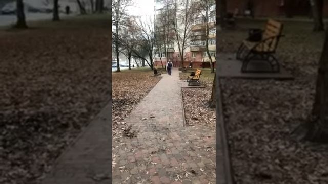 Инсульт и сухожильная тренировка.