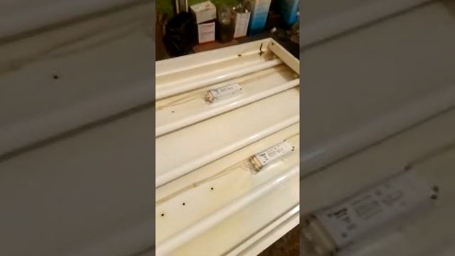 Как правильно купить, лампу хорошего качества смотреть онлайн