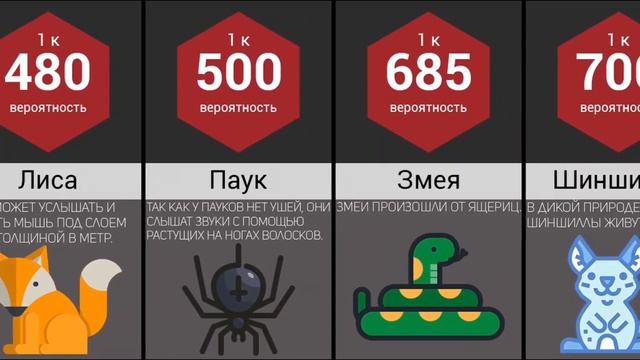 Сравнение вероятности как часто заводят домашних животных смотреть онлайн