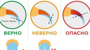Как подстричь когти кошке? Инструменты для стрижки когтей. Как правильно подстричь когти.
