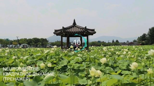 Квадратное дыхание 8-8-8-8. Антистресс, ясность, энергия, ресурс.