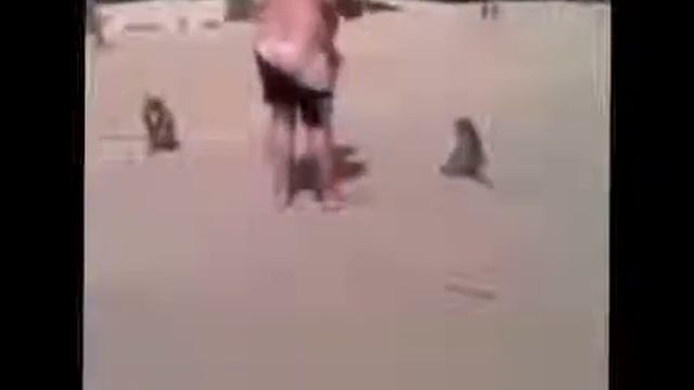 Быстро снимай трусы! смотреть онлайн