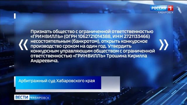 Хабаровскую строительную компанию «Гринвилль» признали банкротом смотреть онлайн