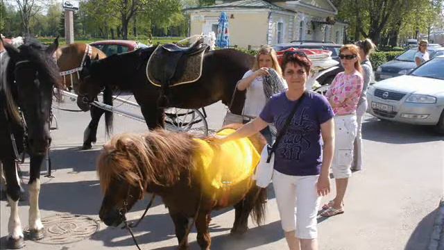 Поездка из Питера в Гальбштадт. Проект в Фото шоу про смотреть онлайн
