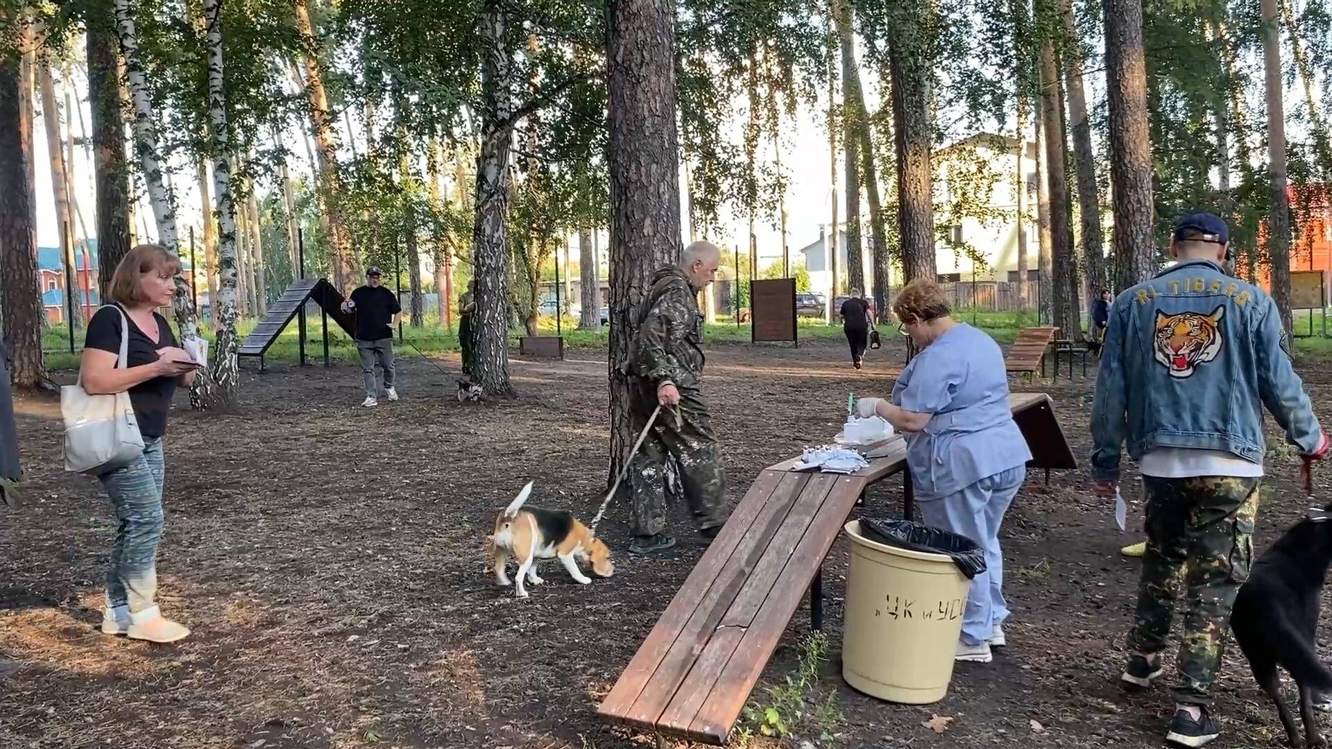 Домашних животных – вакцинировать! В шадринском СНТ выявили очаг бешенства смотреть онлайн