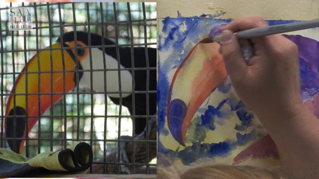 SAA LIVE - Toucan Using Daler-Rowney AquaFine Watercolour Inks With Anita Punder