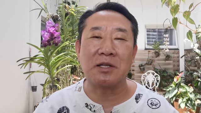 ESSE SUCO PODE AJUDAR MELHORAR SAÚDE PULMÃO | Dr. Peter Liu смотреть онлайн