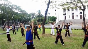 ЗАПРЕЩЕННЫЕ боевые искусства. Это ТОП 10 Невероятных боевых искусств о которых мало кто знает