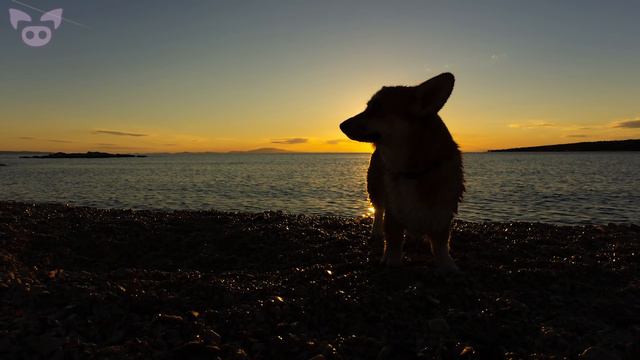 Mysterious and Unexplained Events Caught on Camera смотреть онлайн