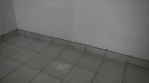 ЖКХ квитанции|| счет в 2 раза больше!!!|| разбираемся почему