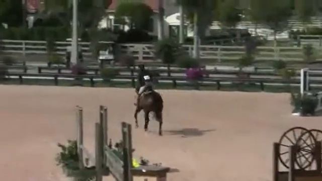 3354, Doppleganger   4087, Arenus Low Hunter 2'9