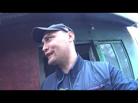 забой Свиньи