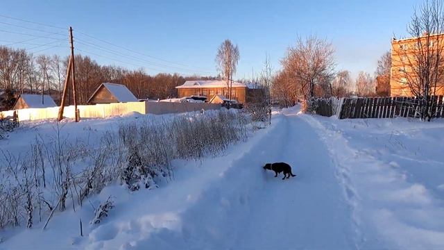 Пермский край. Снегопад, оттепель, мороз -30. смотреть онлайн