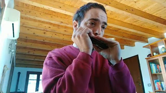 Lullaby Of Birdland - George Shearing - Harmonica смотреть онлайн