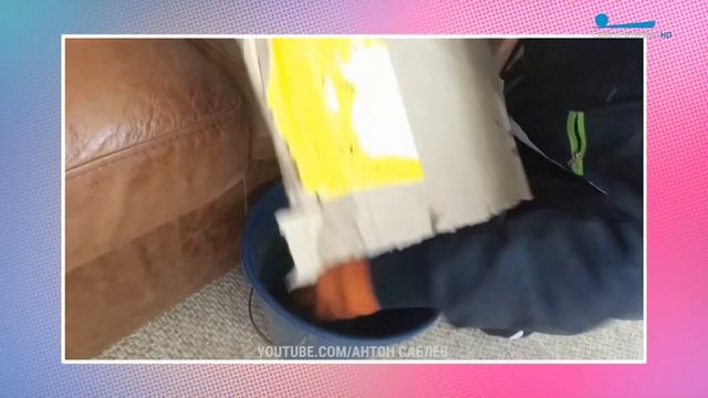 Гриб размером с ведро, змеиный клубок, мурмурация и другие сезонные явления петербургской осени смотреть онлайн