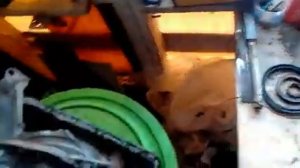 Ховер н3 что за красная кнопка под капотом.