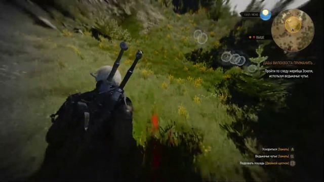 Прохождение The Witcher 3: Wild Hunt часть 76 - Дабы Вилохвоста Приманить смотреть онлайн