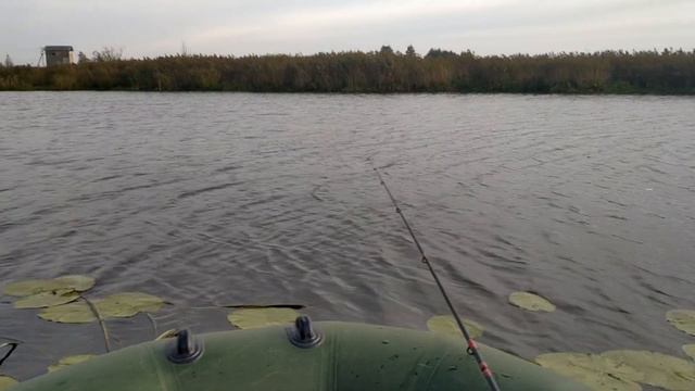 Вот ради чего стоит ехать на рыбалку! Небольшая нарезка открытой воды 2021 смотреть онлайн