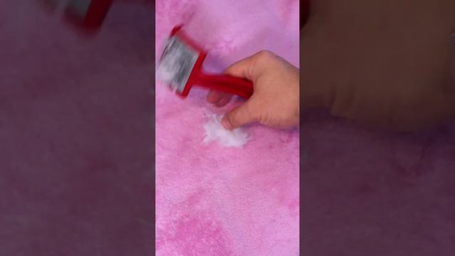 ПОДАРОК ДЛЯ БЕЛКИ #cat смотреть онлайн