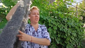 Пуховые шали и косынки. Только эксклюзивные модели.