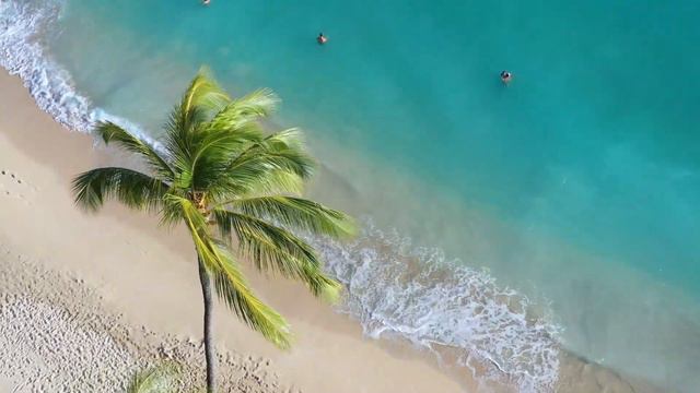 Самые расслабляющие волны: звуки океана для сна, учебы и отдыха смотреть онлайн