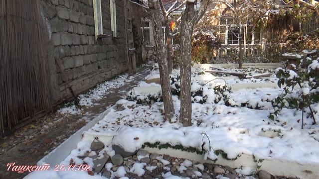 Ташкент 26.11.19г. смотреть онлайн