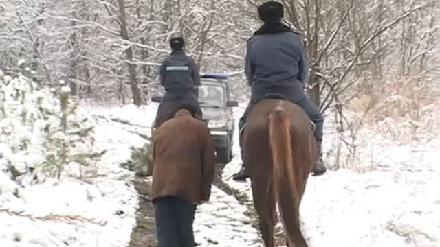 Конный патруль охраняет лес от вырубки смотреть онлайн