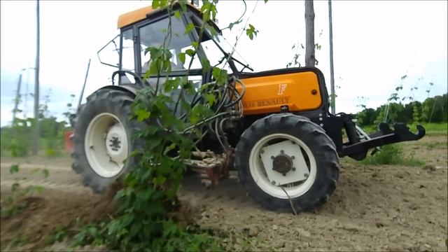 Kolejne prace w chmielu?? ☆ Naorywanie 2019 ☆ Renault 70.14 ☆ Foto- Farmer смотреть онлайн