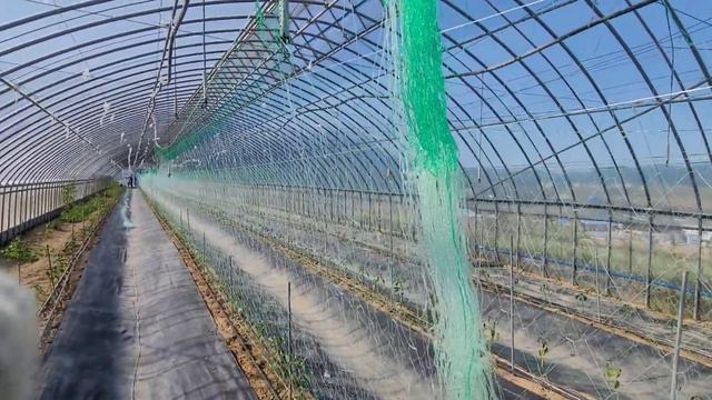 Работа в Южной Корее (арбайт) смотреть онлайн