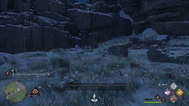 Hogwarts legacy how to get flying mounts and taming guide, Hippogriff and Thestral locations guide смотреть онлайн