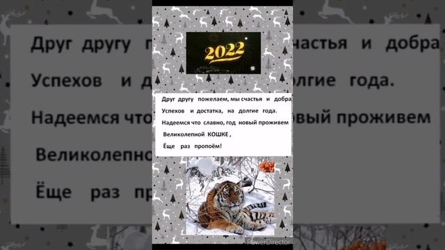 14 декабря 2021 г. смотреть онлайн