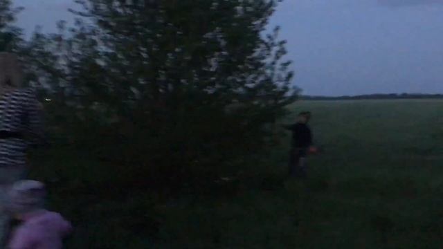 ловим майских жуков на даче смотреть онлайн