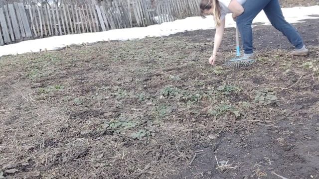 Пасха в деревне, огородный сезон открыт, пирог из детства, соленое тесто для лепки,закупка продукто смотреть онлайн