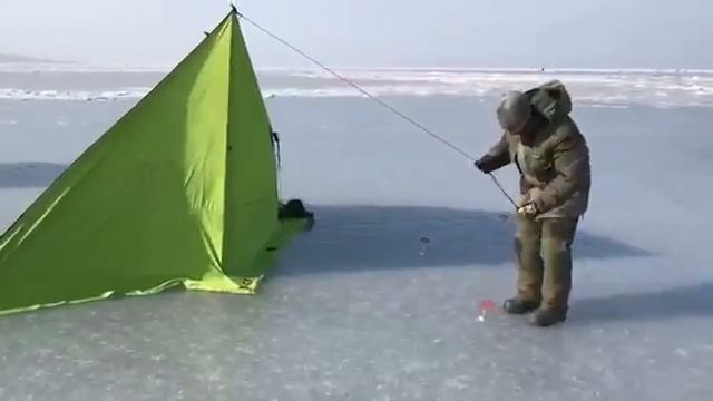 Крыло ветрозащитное от Mr Musurok Lures&Rods смотреть онлайн