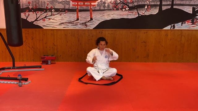 1er Cours Karaté Enfant à la maison. смотреть онлайн