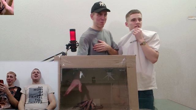 Rpoxu і таємнича коробка із зміями і пацюками | Ярохи і ШОУ Здається Нащупав смотреть онлайн