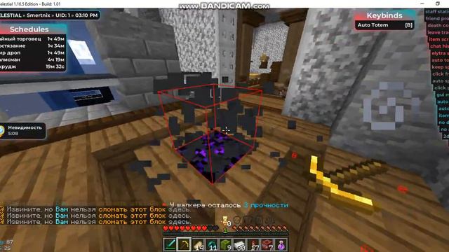 //Celestial 1.16.5// Лутание Шалкеров на (Holyworld)