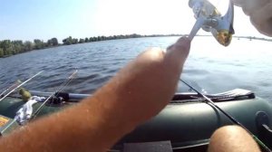 Рыбалка с лодки на мирную рыбу на Днепре