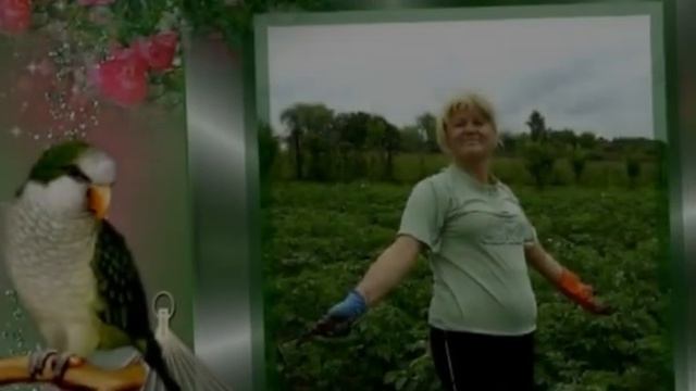 прикольные слайд шоу поздравления с юбилеем сестре смотреть онлайн