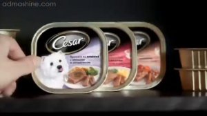 Консервы для собак Cesar