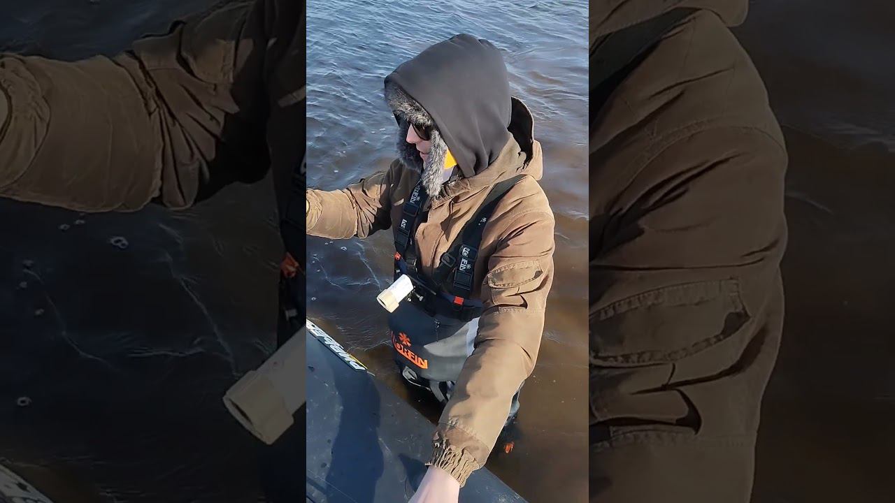 Рыбалка на спиннинг. Первый окунь на спиннинг 2024. #рыбалка #fishing #shortvideo #fishingvideo смотреть онлайн